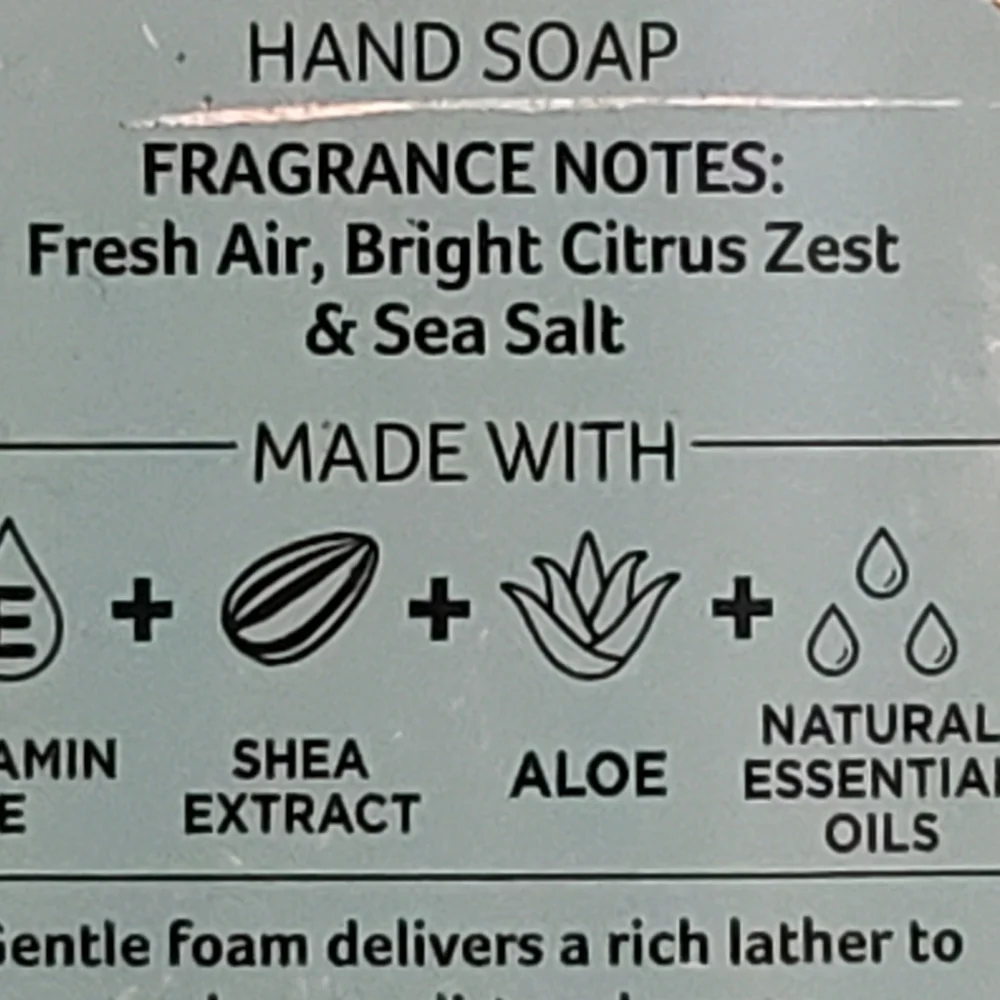 BBW FRESH AS A DAISY BRILLIANT BLUE SKY GENTLE FOAMING HAND SOAP X5 - Picture 2 of 2